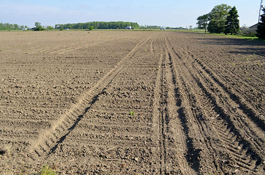 LAND AUCTION - 215+/- ACRES OFFERED IN 6 TRACTS IN VAN WERT COUNTY, OHIO